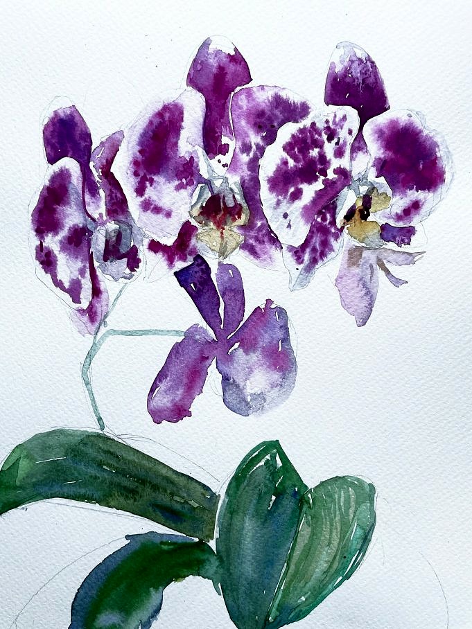 Come Dipingere Un'orchidea Usando L'acquerello