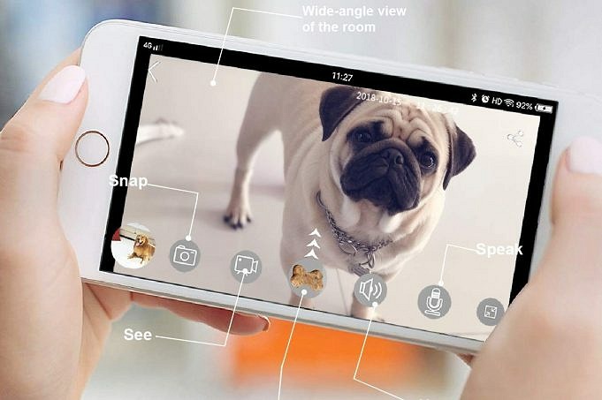 Recensione Petcube: La Migliore Videocamera WiFi Per Animali Domestici?